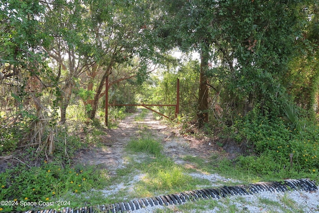 Listing photo 3 for 0000 Fleming Grant Rd, Micco FL 32976