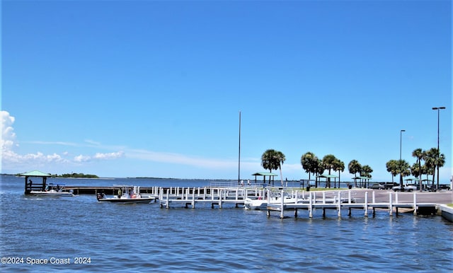 dock area featuring a water view