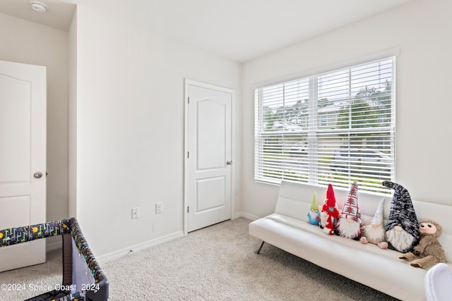 sitting room featuring light carpet