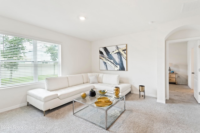 carpeted living room with a wealth of natural light