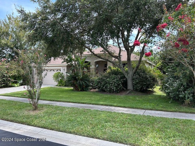 view of front of house with a front yard