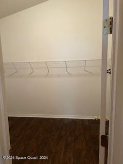 spacious closet featuring lofted ceiling and hardwood / wood-style flooring