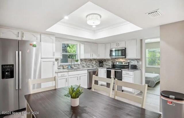 kitchen with a raised ceiling, appliances with stainless steel finishes, sink, decorative backsplash, and white cabinets