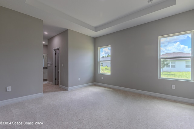 spare room featuring light carpet and a tray ceiling