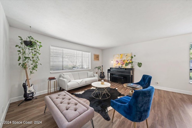 living room featuring hardwood / wood-style floors, a fireplace, and a textured ceiling