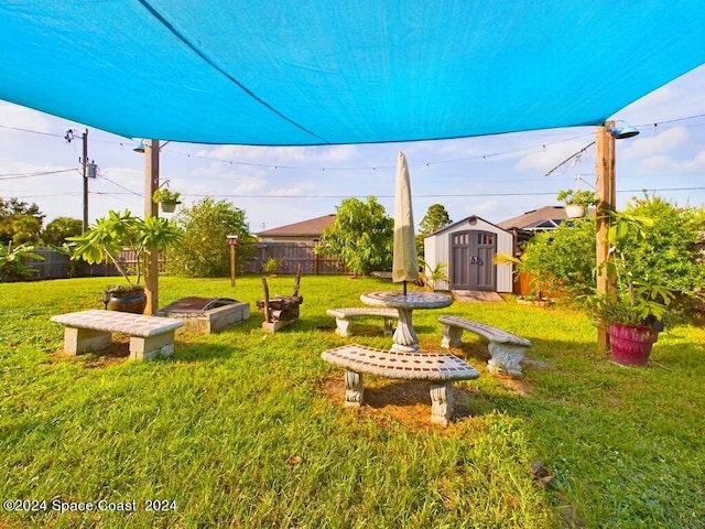 view of yard featuring a storage shed