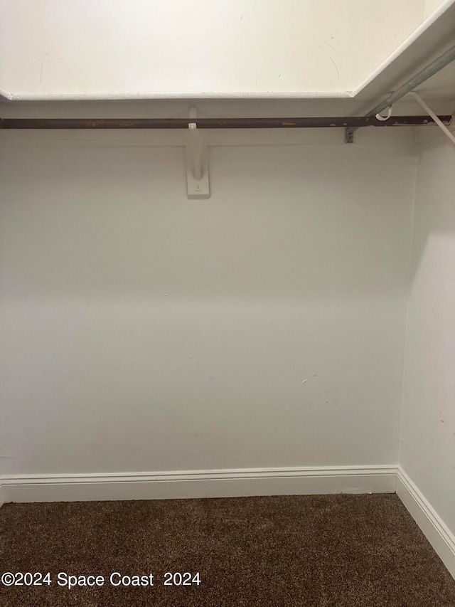 spacious closet with carpet