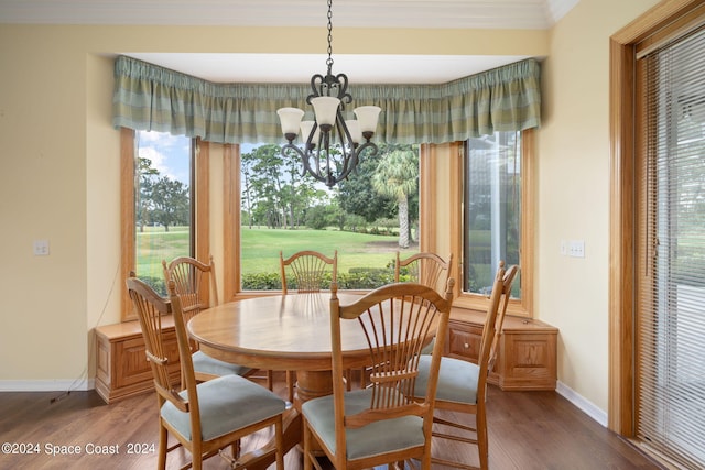 dining area featuring an inviting chandelier, a wealth of natural light, and hardwood / wood-style flooring