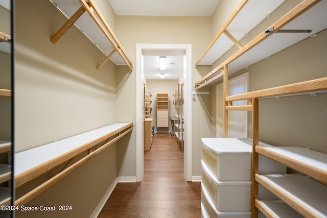 walk in closet featuring dark hardwood / wood-style floors