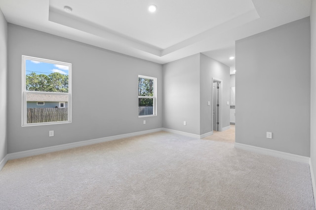 carpeted spare room with a tray ceiling and a wealth of natural light