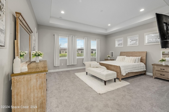 carpeted bedroom with a tray ceiling