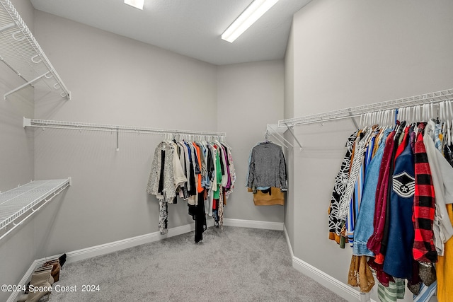 walk in closet featuring light colored carpet