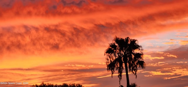 view of nature at dusk