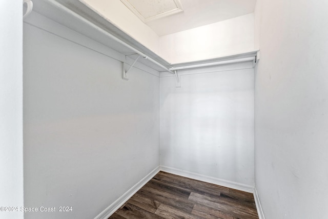 spacious closet featuring dark hardwood / wood-style flooring