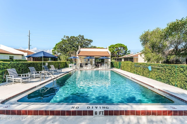 view of pool with a patio