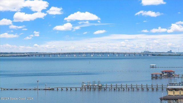 water view featuring a boat dock