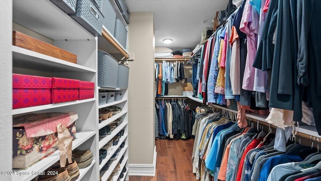 walk in closet with dark wood-type flooring