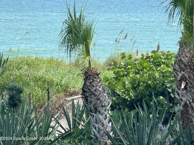 view of water feature