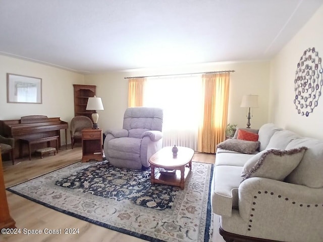 living room with wood-type flooring