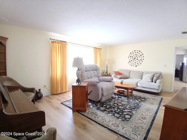 living room featuring light hardwood / wood-style flooring