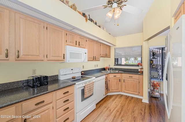 kitchen with sink, white appliances, ceiling fan, light brown cabinetry, and light wood-type flooring