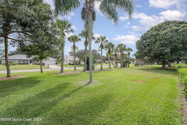 1531 Independence Ave, Melbourne, FL 32940 - view of yard