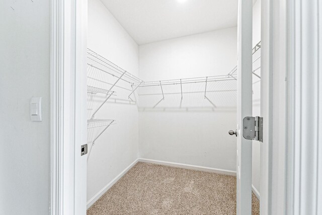 walk in closet featuring light carpet