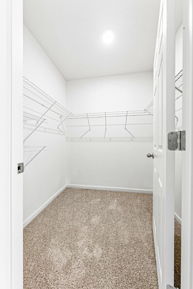 view of walk in closet