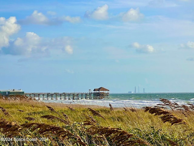 property view of water featuring a beach view