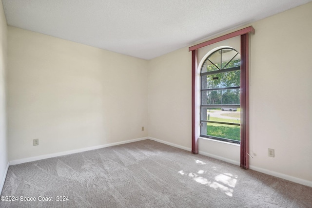 spare room featuring light carpet and a textured ceiling