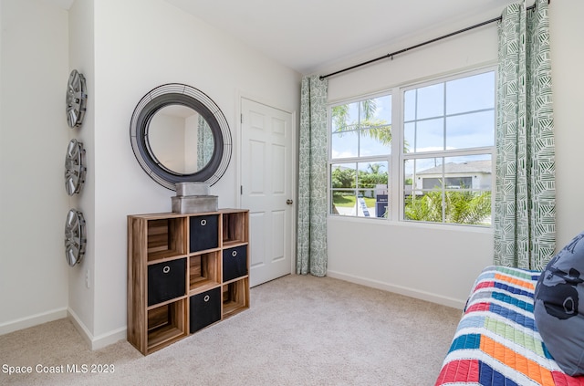 interior space featuring light carpet and plenty of natural light