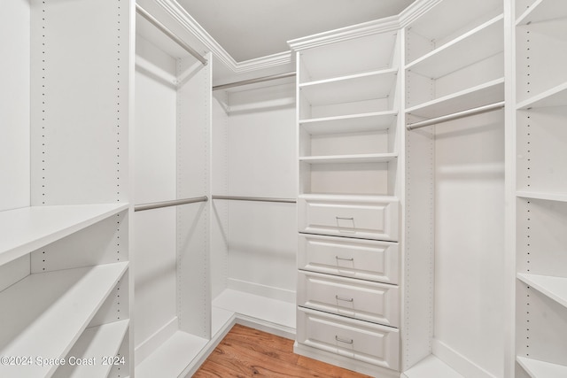 spacious closet with hardwood / wood-style floors