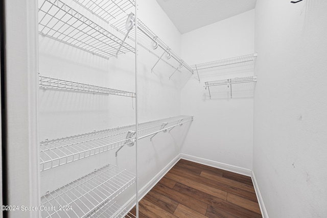 spacious closet featuring dark hardwood / wood-style floors