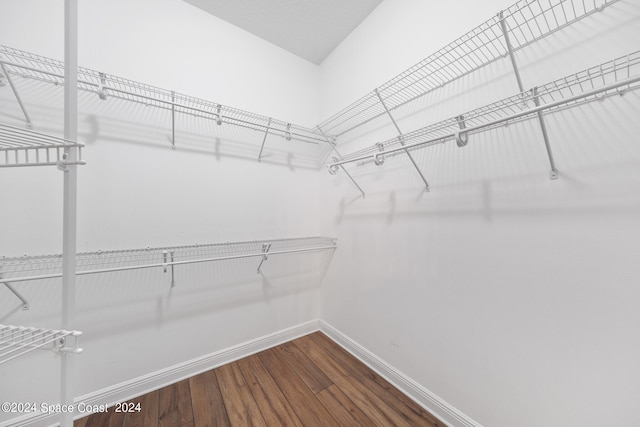 walk in closet with hardwood / wood-style flooring