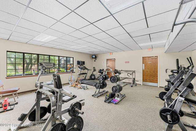 workout area featuring a drop ceiling and carpet