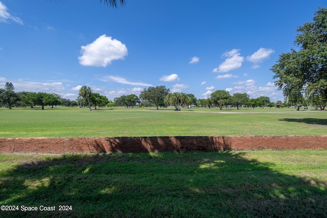 view of home's community with a yard