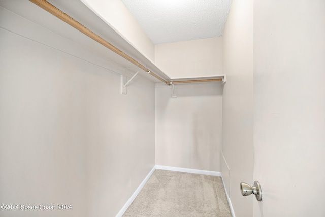 spacious closet with light colored carpet