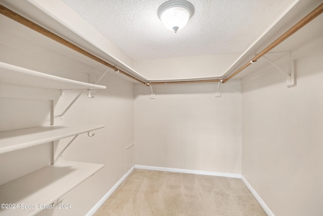 walk in closet featuring light colored carpet