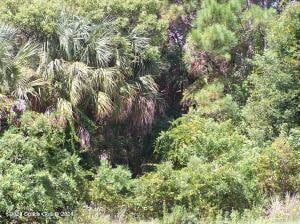 0 Satellite Blvd, West Cocoa FL, 32926 land for sale