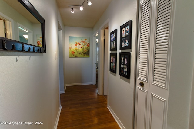 hall featuring dark hardwood / wood-style floors and rail lighting