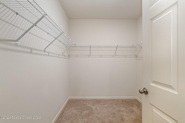 walk in closet featuring carpet flooring