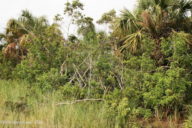 LOT7 SW 159th Ct, Ocala, FL 34481