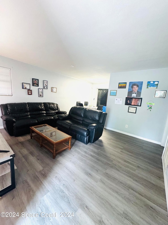 living room featuring hardwood / wood-style flooring