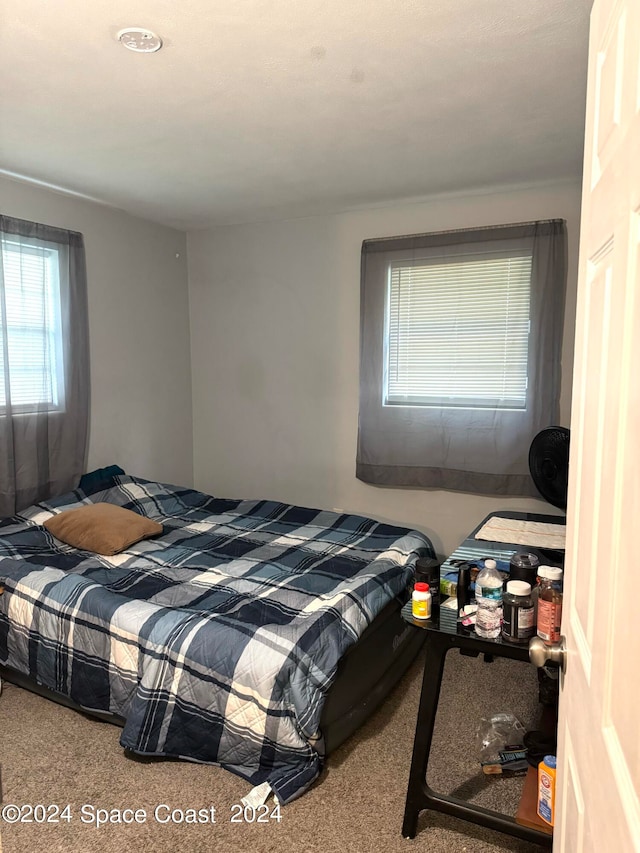 view of carpeted bedroom