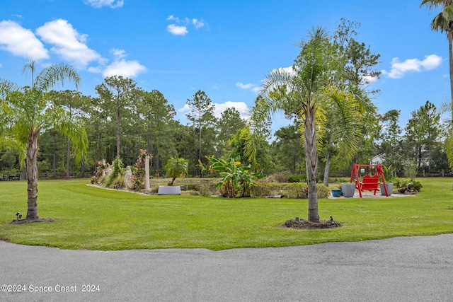 view of community with a lawn