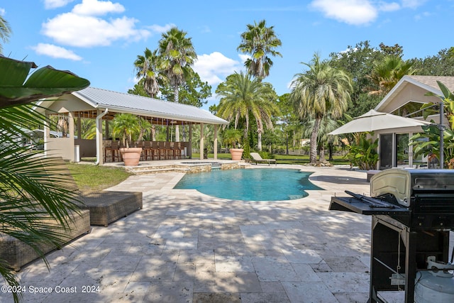 view of swimming pool with a grill, an outdoor bar, and a patio area