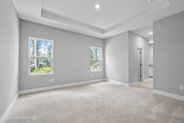 unfurnished room with a wealth of natural light and a raised ceiling