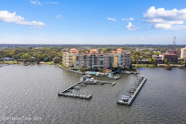 bird's eye view with a water view