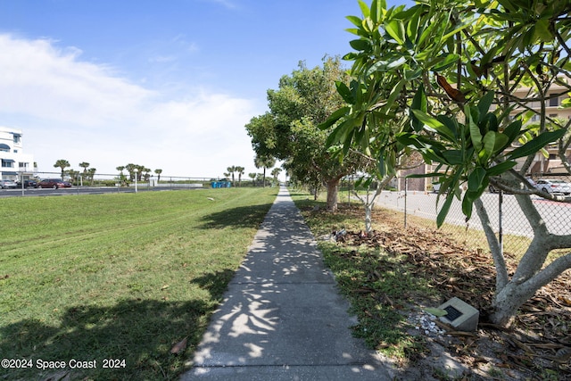 view of community with a yard