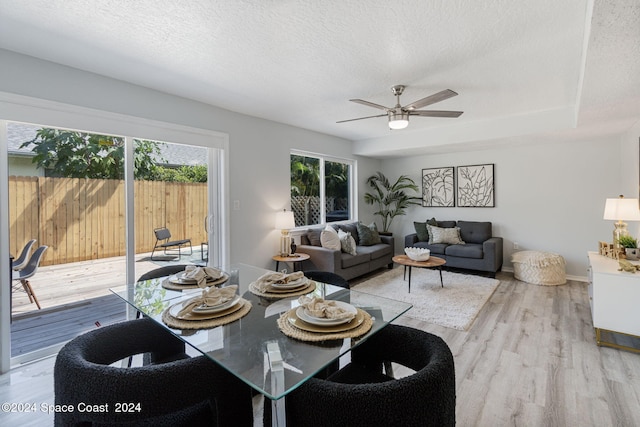 dining space with ceiling fan, light hardwood / wood-style floors, and a textured ceiling